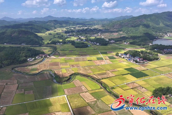 寧化：機(jī)械化收割奏響豐收樂章