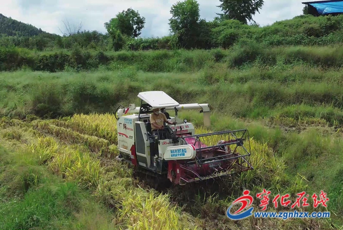 習(xí)近平總書記給福建農(nóng)林大學(xué)全體師生的回信在寧化引發(fā)熱烈反響
