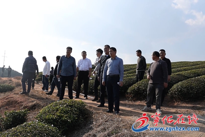 新疆瑪納斯縣農(nóng)業(yè)農(nóng)村局來寧化開展農(nóng)業(yè)資源專題調(diào)研