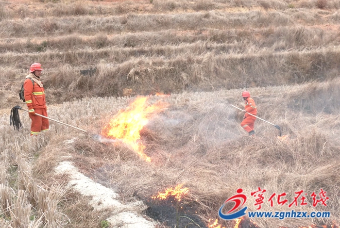 寧化文明 你我同行 | 寧化：積極開展“計(jì)劃燒除” 筑牢冬季防火屏障