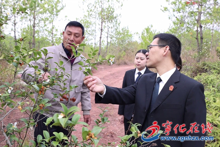 司法護航“三江”源 生態(tài)修復(fù)綠意濃——寧化法院以實際行動踐行生態(tài)文明理念