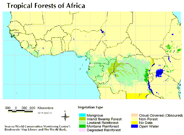 直擊非洲雨林的領(lǐng)土和現(xiàn)狀有圖有真相