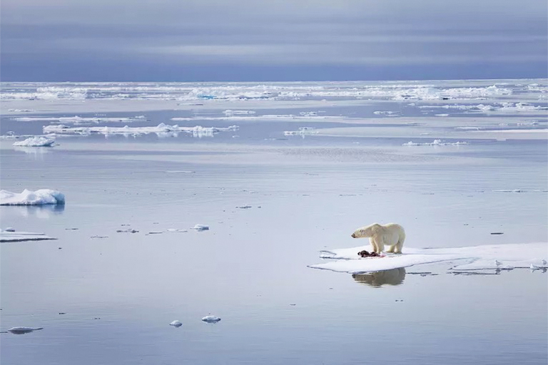 全球變暖有什么好處？即使是佳方案缺點也勝過任何可能的優(yōu)點