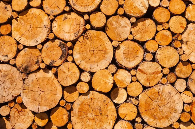 如何賣樹成材-出售樹木木材的相關(guān)建議和需要注意的點（二）