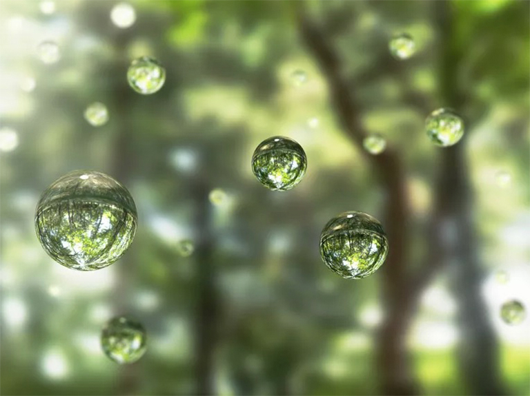 樹(shù)木通過(guò)根和葉吸收和蒸發(fā)水分的過(guò)程