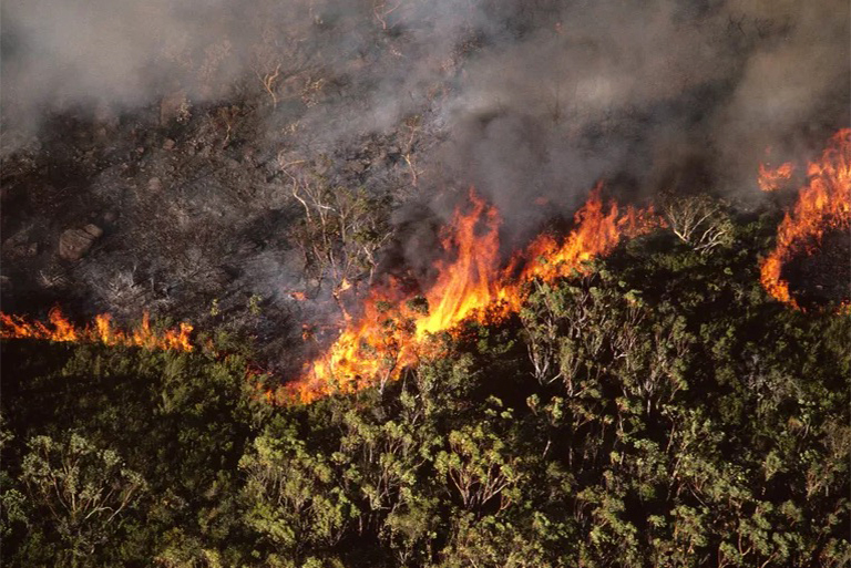 野火何時(shí)何地發(fā)生-許多山火由雷擊引起多則是人類(lèi)活動(dòng)引起的