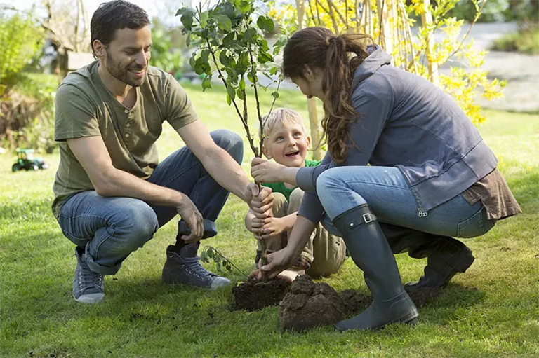 種植十億棵樹-人們與全球變暖作斗爭(zhēng)