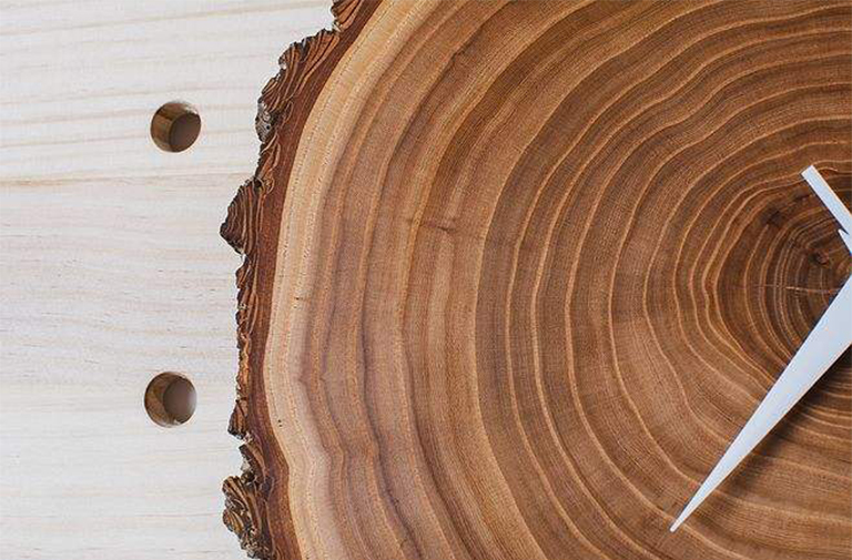 樹(shù)木年代學(xué)-年輪記錄氣候變化（二）