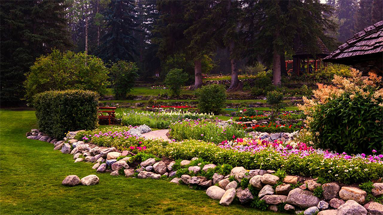 園藝護(hù)理-北弗吉尼亞州常見的園林植物b害