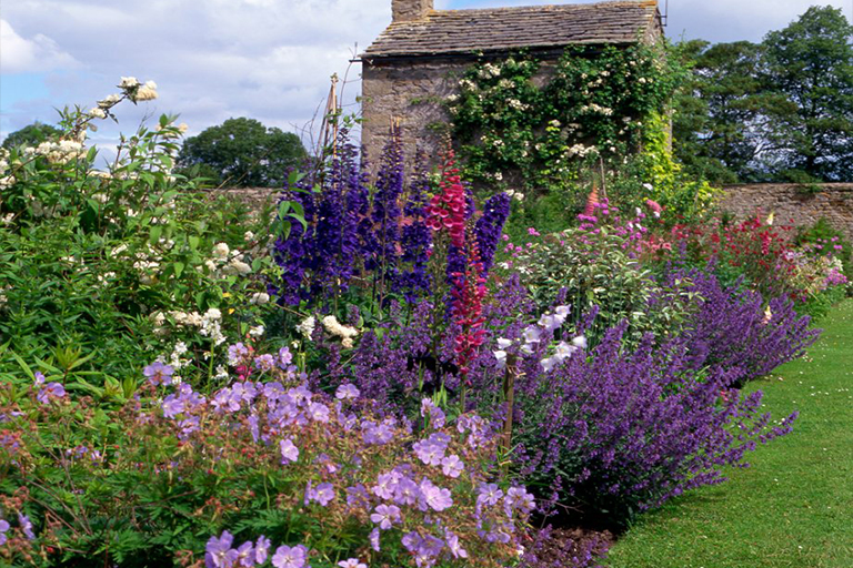 打細(xì)算經(jīng)濟(jì)型植物花園創(chuàng)意–擴(kuò)大空間而又不花錢（三）