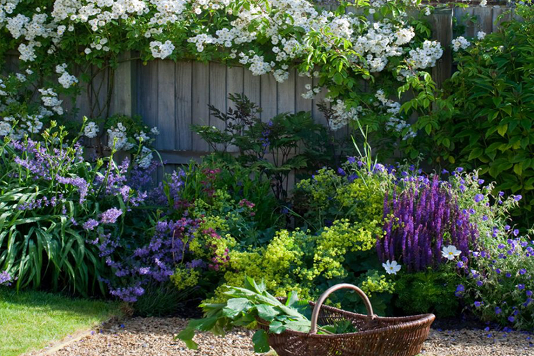 山寨植物花園創(chuàng)意–在任何環(huán)境下創(chuàng)建迷人的鄉(xiāng)村f 格植物花園(中）