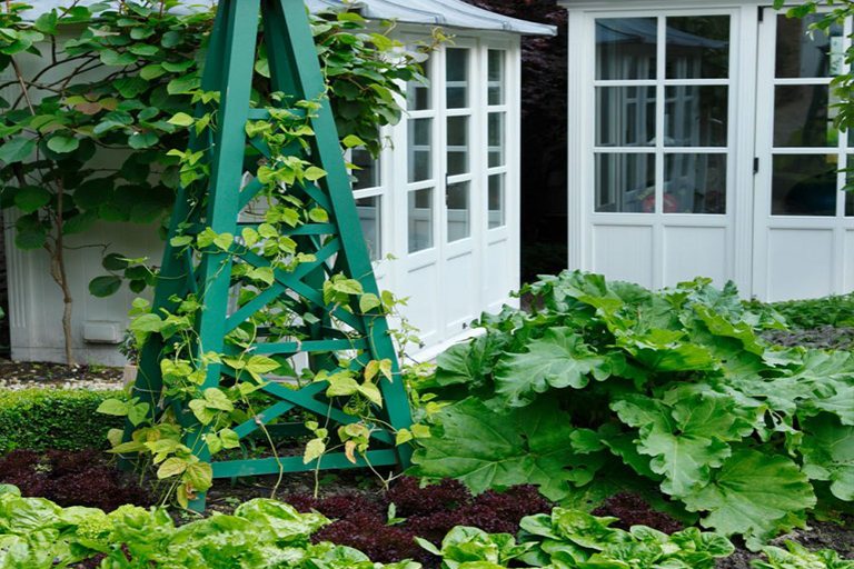 開春在植物花園的工作–準備蔬菜田，種植吊籃和培育草坪（下）