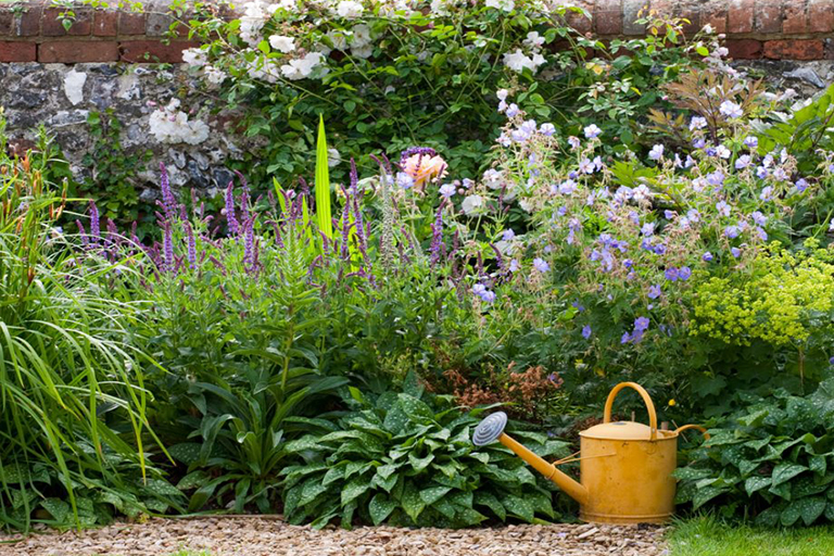 可持續(xù)植物花園–針對您的戶外空間的環(huán)保理念（下）