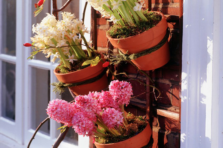 北京廠家關(guān)于植物花園柵欄／圍欄的設(shè)計構(gòu)想（中）