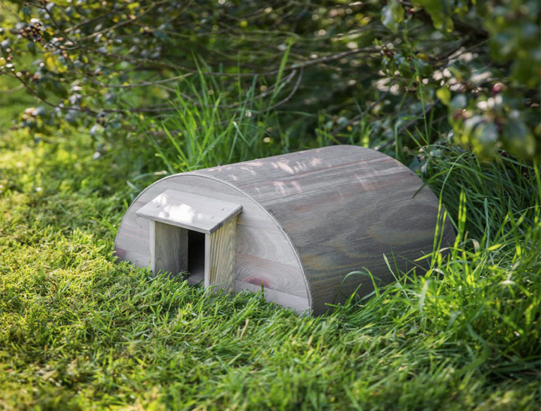 15種簡單創(chuàng)意方法將植物花園變成野生動物的天堂（下）