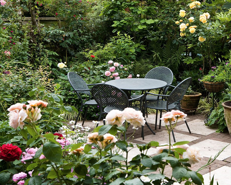 簡單低維護的植物花園創(chuàng)意就可改變您的戶外空間（二）