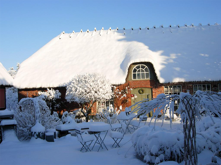冬季植物花園園林維護(hù)工具及園林喂鳥器的相關(guān)提示
