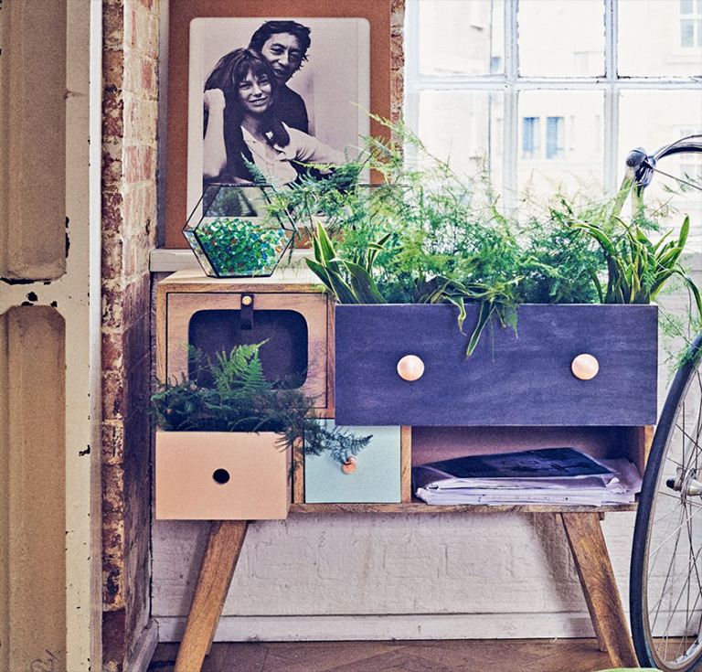 二月份在植物花園里要做的工作-從創(chuàng)建一個(gè)室內(nèi)花園到挑選完美的植物