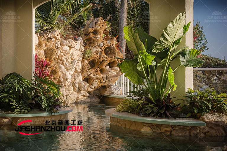 讓家秒變綠野仙蹤 可可西里美麗仿真樹讓家內(nèi)外高級(jí)感拉滿