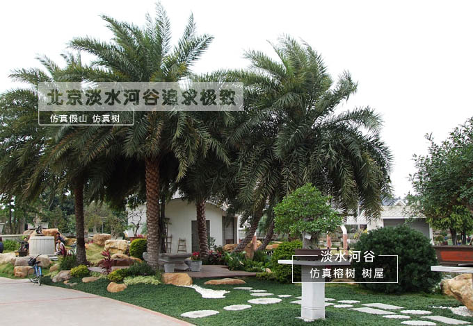 仿真海棗樹(shù)