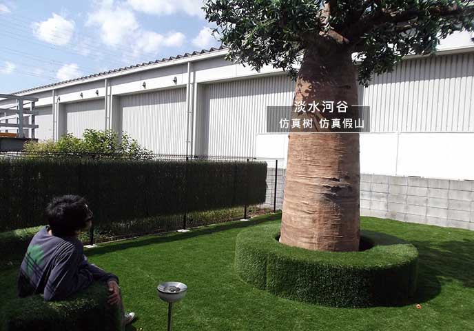 仿真面包樹(shù)