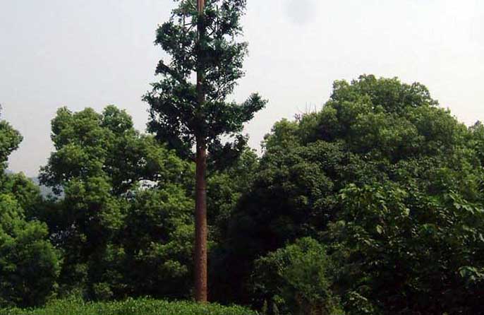 仿真信號(hào)塔樹(shù)