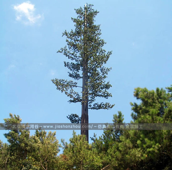 仿真樹(shù)
