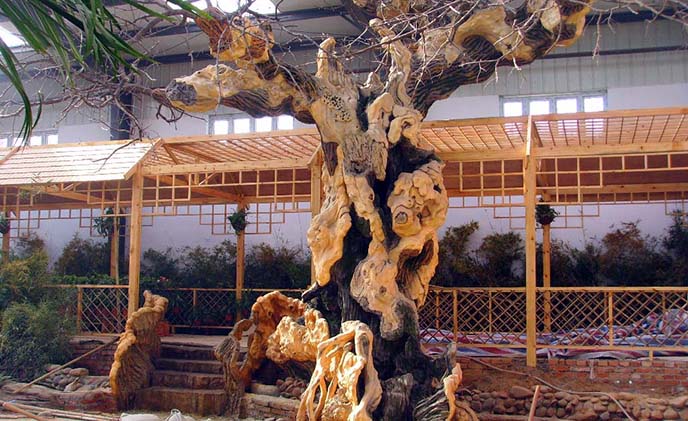 仿真樹(shù)工廠