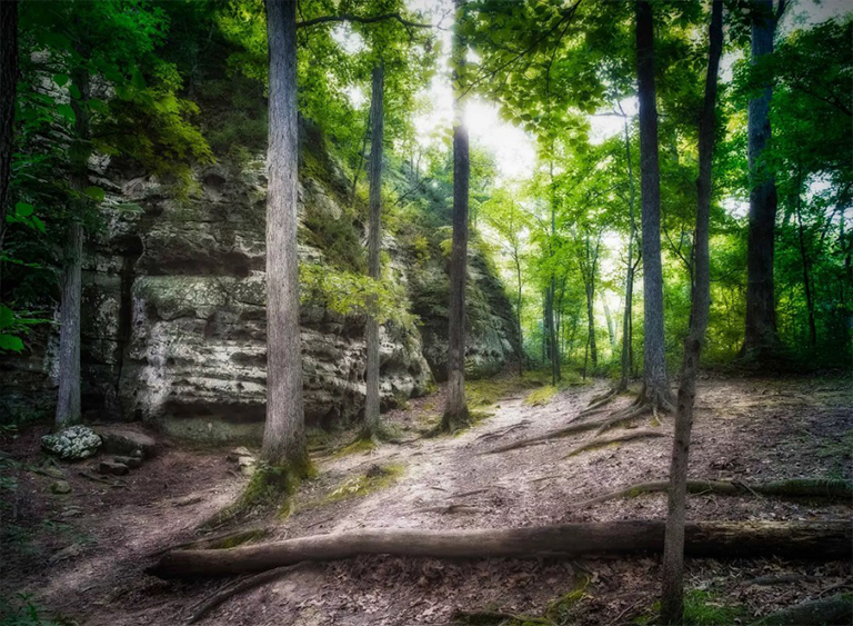肖尼國(guó)家森林公園在伊利諾伊州