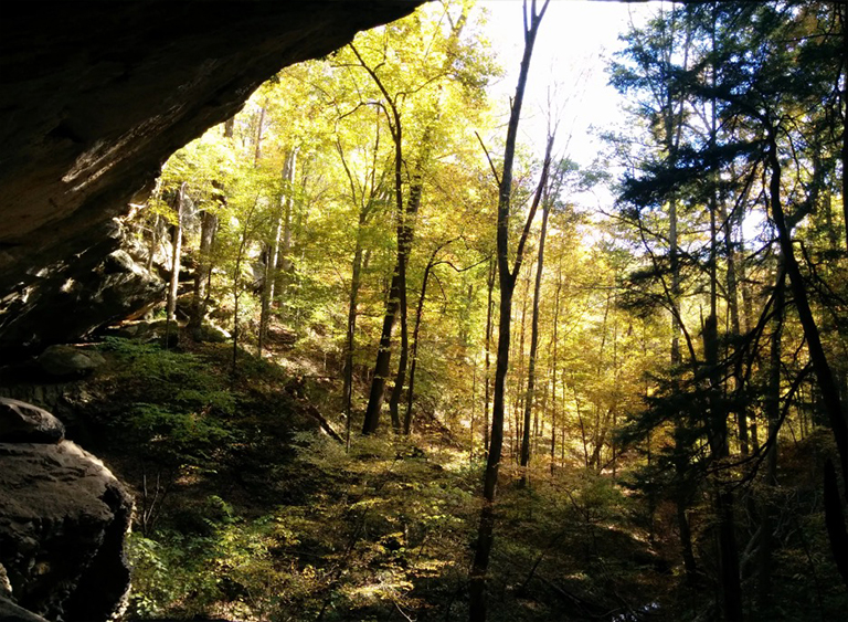 印第安納州的印第安納州國(guó)家森林公園