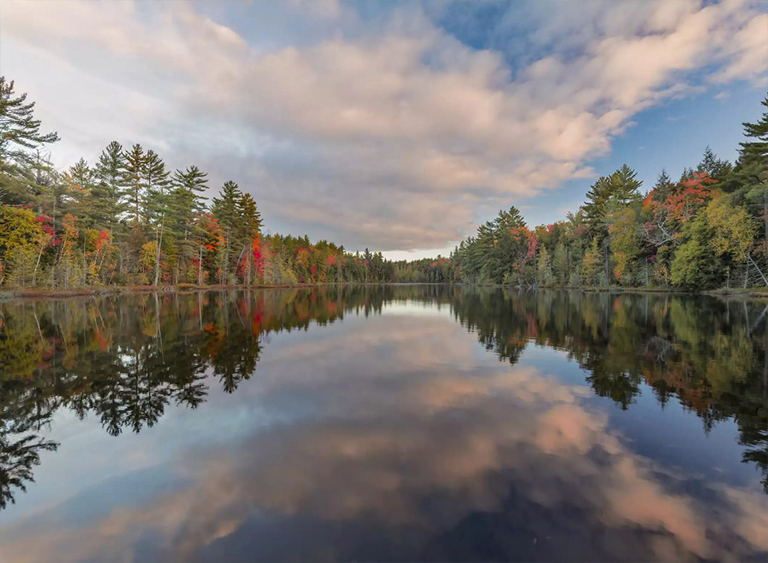 國(guó)家森林公園在密歇根州