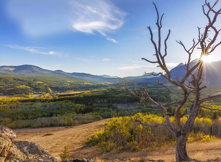 蒙大拿州的劉易斯和克拉克國(guó)家森林公園