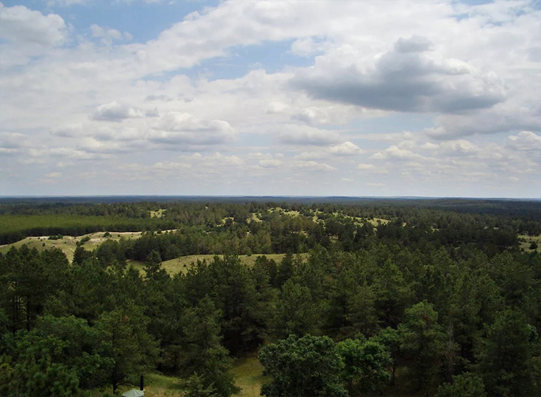 內(nèi)布拉斯加州國(guó)家森林