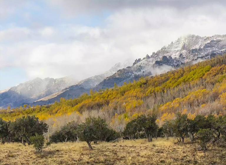 洪堡-Toiyabe國(guó)家森林在內(nèi)華達(dá)州