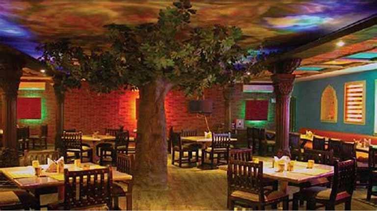 咖啡館假樹(shù)