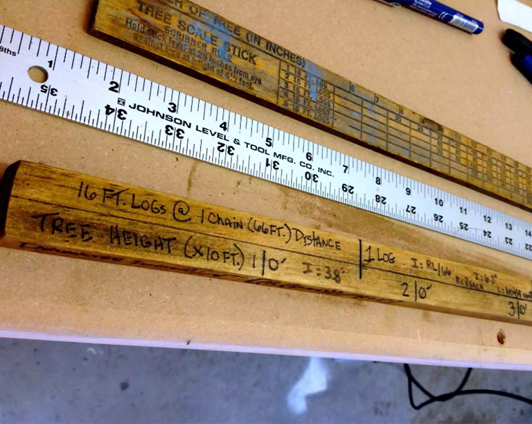 一棵樹的高度在巡洋艦棍子上