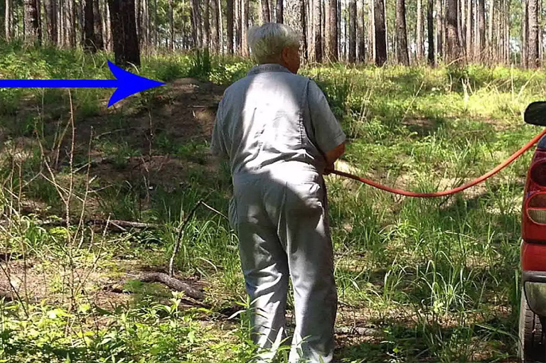 土壤樹的應(yīng)用