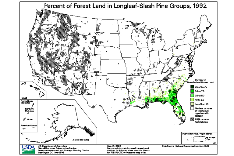 長(zhǎng)葉斜線松樹類型地圖