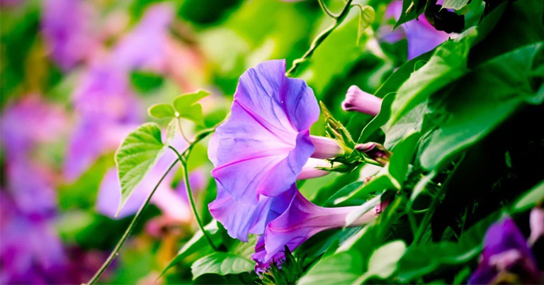 牽?；?/></p><p><span style=