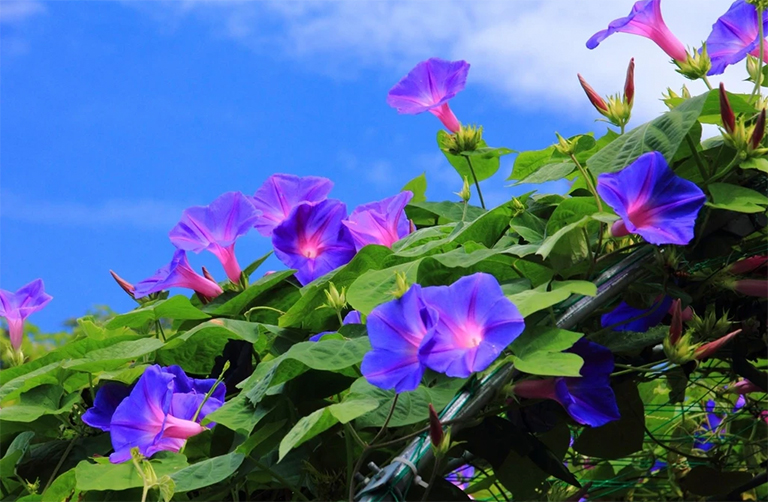 牽?；?/></p><p><span style=