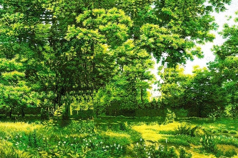 橡樹