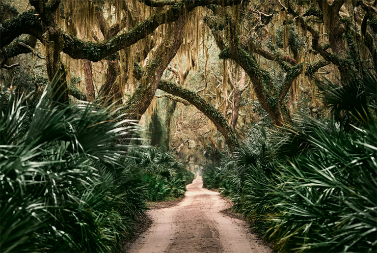 坎伯蘭島國家海岸