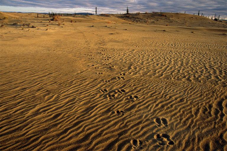 科布谷國(guó)家公園