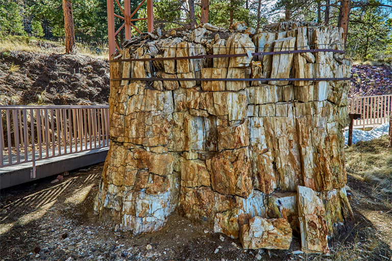 弗洛里桑化石床國家歷史文物