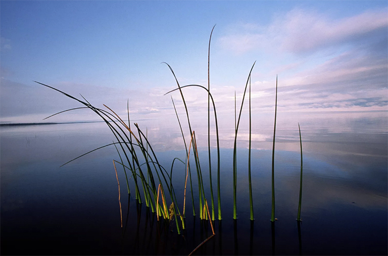 明尼蘇達(dá)州北部紅湖上游，夏末
