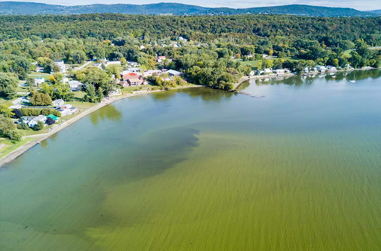 藻類綻放在尚普蘭湖