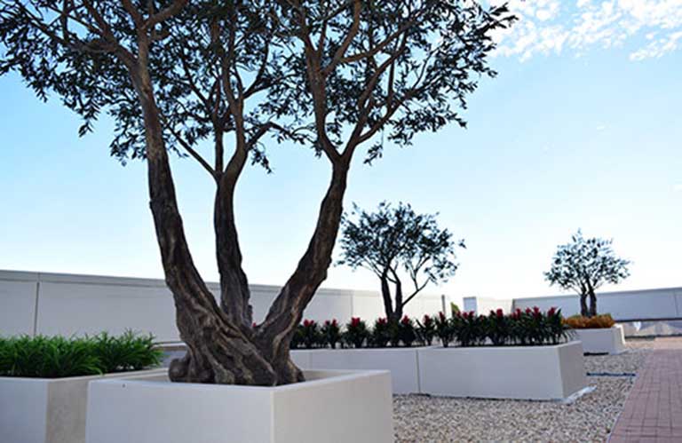 仿真樹設(shè)計(jì)制作