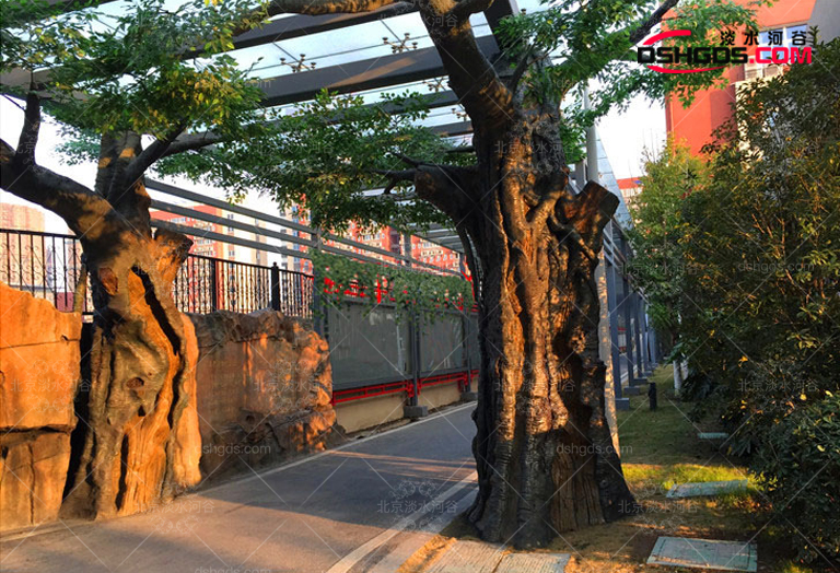 景觀(guān)仿真樹(shù)圖片