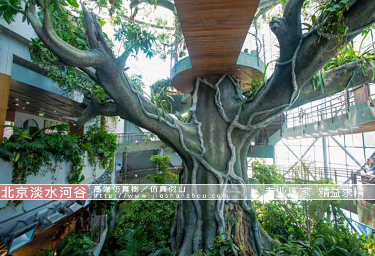 景觀(guān)仿真樹(shù)圖片