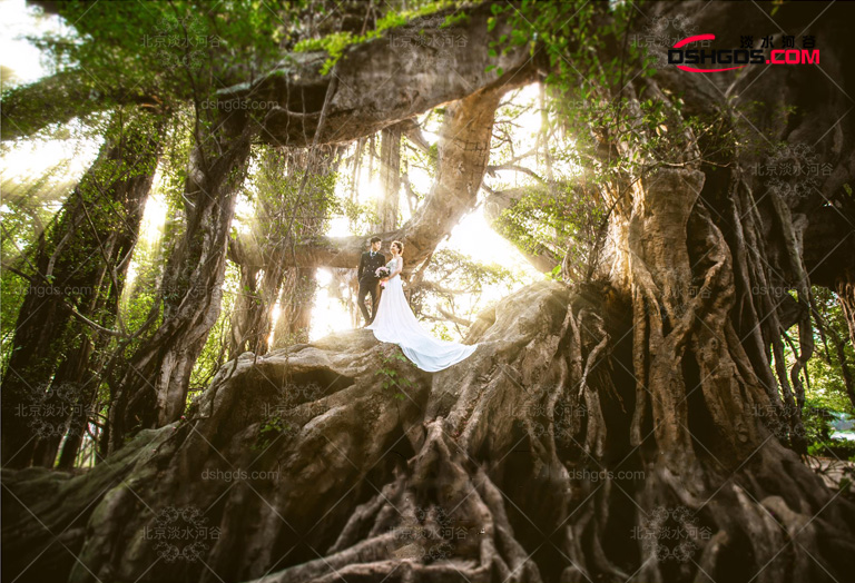 室內(nèi)大型仿真景觀樹